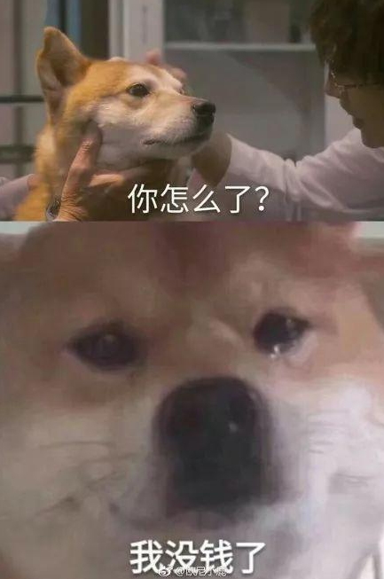 请输入图片描述