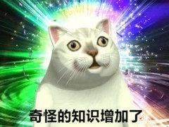 请输入图片描述